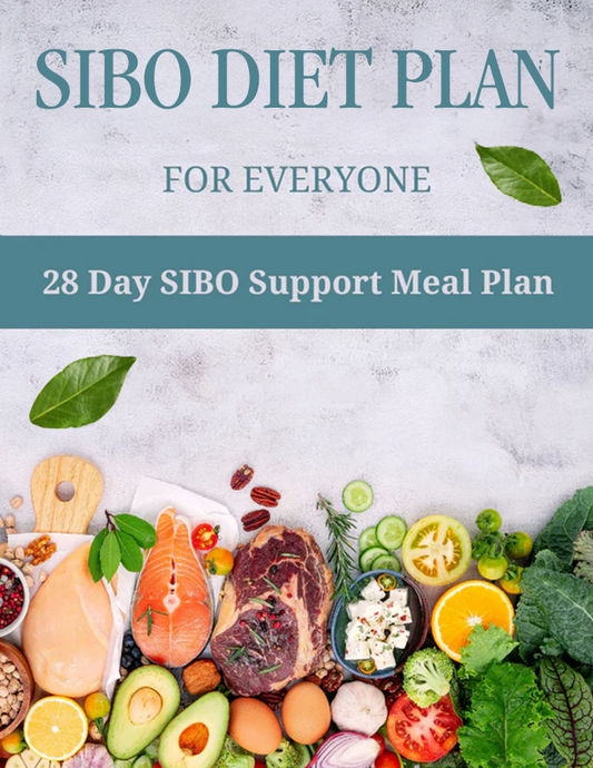 "28 Day SIBO Support Meal Plan" Digital download